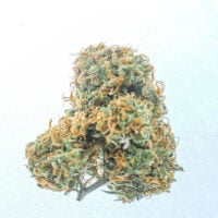 botanist lemon cherry gelato cannabis bud