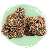 High THCa