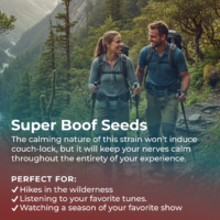 Super boof cannabis seed highlight
