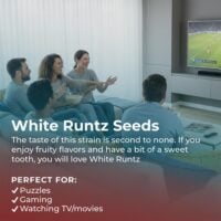 White-Runtz-highlight
