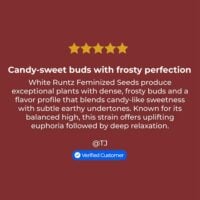 White-Runtz-review
