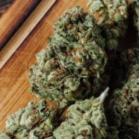wedding cake cannabis bud
