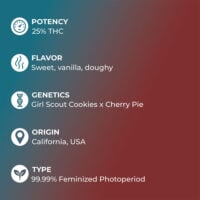 wedding cake cannabis feature