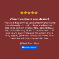 wedding cake cannabis review