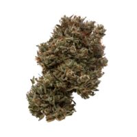 Alien OG Seeds Cannabis Bud