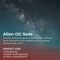 Alien OG Seeds highlight