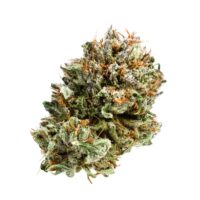 Closeup of cannabis nugget with trichomes