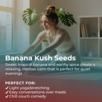 Banana Kush Seeds highlight