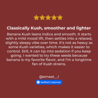 Banana Kush Seeds review
