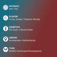 Banana Kush Seeds specs