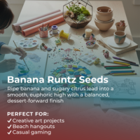 Banana Runtz highlight