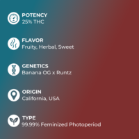 Banana Runtz specs
