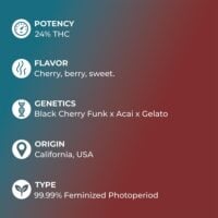 Black-Cherry-Gelato-feature