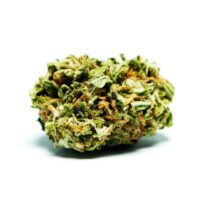 Closeup of a Black Runtz cannabis bud
