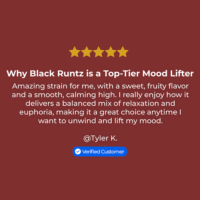 Black Runtz Seeds Review