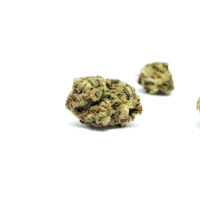 Close-up of cannabis bud on white