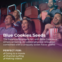 Blue Cookies Seeds Highlight
