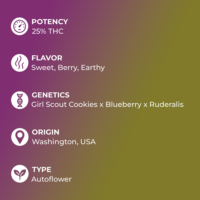 Blue Cookies Seeds Specs