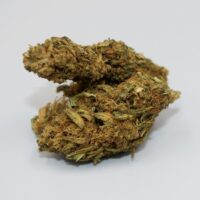 Blue-Razz-bud-gallery