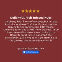 Blue-Razz-review