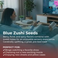 Blue-Zushi-highlight