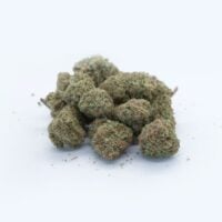 Close up nugget bud of a Blueberry CBD plant