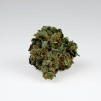 Blueberry-Muffin-bud-gallery