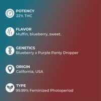 Blueberry-Muffin-feature