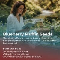 Blueberry-Muffin-highlight