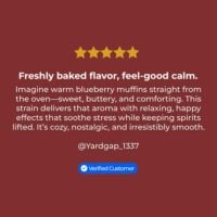 Blueberry-Muffin-review