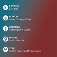 Bubblegum-Gelato-feature
