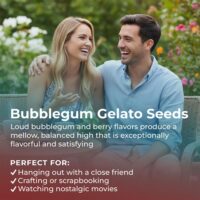 Bubblegum-Gelato-highlight