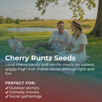 Cherry Runtz Seeds highlight