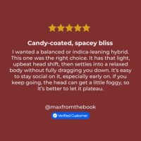 Cherry Runtz Seeds review