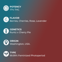 Cherry Runtz Seeds specs