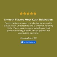 Cotton-Candy-Kush-Auto-review
