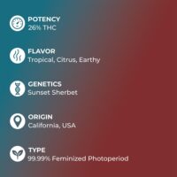 Forbidden-Fruit-feature