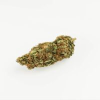 Green Fruity Pebbles cannabis bud on white background
