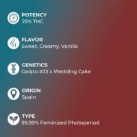 Gelato-Cake-feature