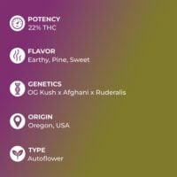 Ghost-OG-Auto-feature