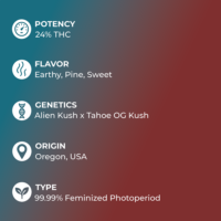 Ghost Og Seeds specs
