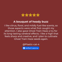 Ghost Train Haze Seeds review