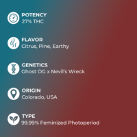 Ghost Train Haze Seeds specs