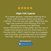 Gorilla Glue #4 Auto review