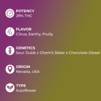 Gorilla Glue #4 Auto specs