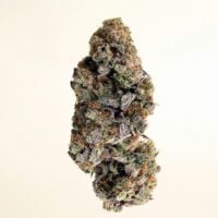 Green-Crack-bud-gallery