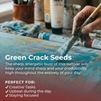 Green-Crack-highlight