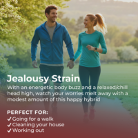 Jealousy Strain Highlight