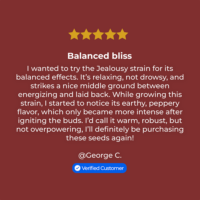 Jealousy Strain Review