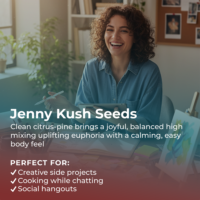Jenny Kush highlight
